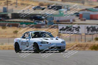 media/Mar-08-2025-Extreme Speed (Sat) [[4abb97269e]]/Purple/Turns 2  and  4 (Session 2)/